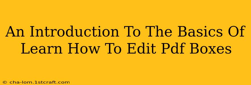 An Introduction To The Basics Of Learn How To Edit Pdf Boxes