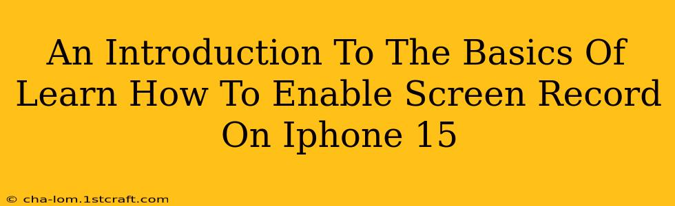 An Introduction To The Basics Of Learn How To Enable Screen Record On Iphone 15