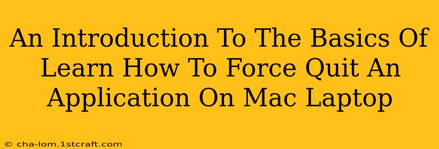 An Introduction To The Basics Of Learn How To Force Quit An Application On Mac Laptop