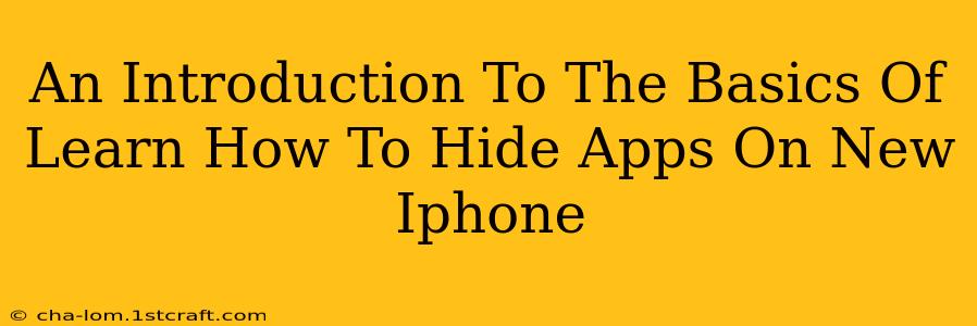 An Introduction To The Basics Of Learn How To Hide Apps On New Iphone