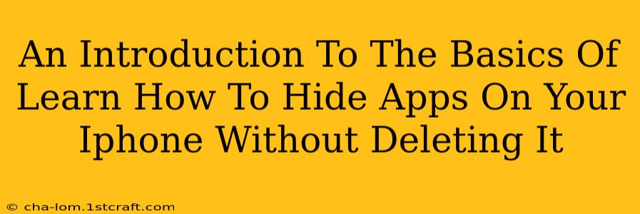 An Introduction To The Basics Of Learn How To Hide Apps On Your Iphone Without Deleting It