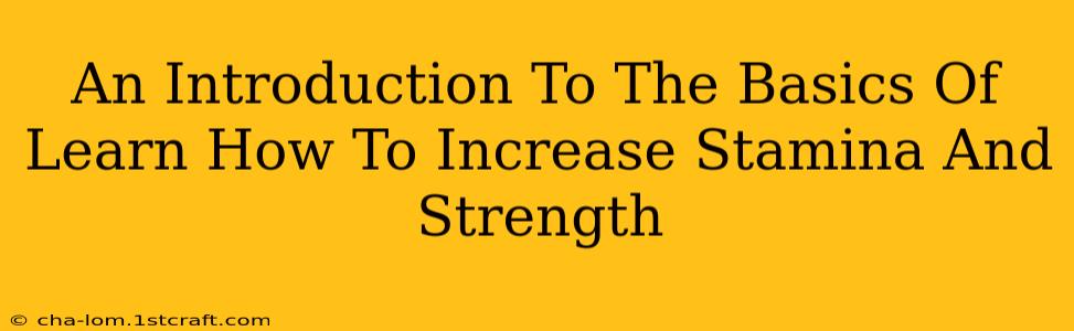 An Introduction To The Basics Of Learn How To Increase Stamina And Strength