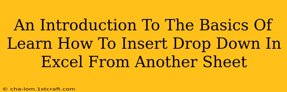 An Introduction To The Basics Of Learn How To Insert Drop Down In Excel From Another Sheet