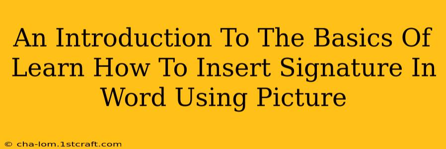 An Introduction To The Basics Of Learn How To Insert Signature In Word Using Picture