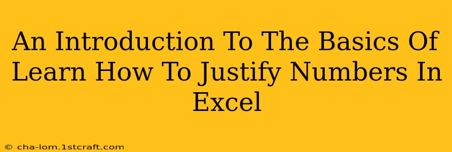 An Introduction To The Basics Of Learn How To Justify Numbers In Excel