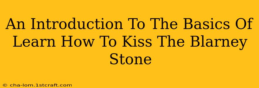 An Introduction To The Basics Of Learn How To Kiss The Blarney Stone