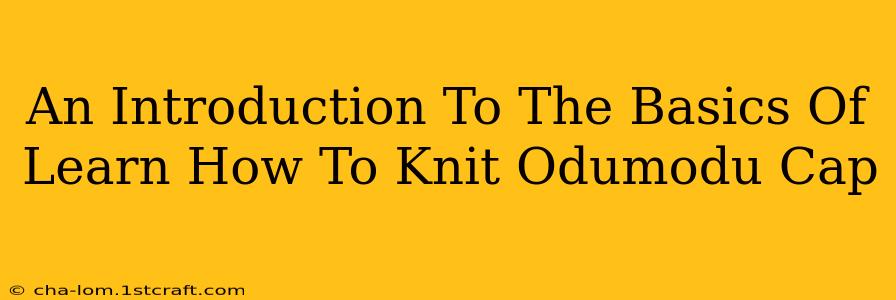 An Introduction To The Basics Of Learn How To Knit Odumodu Cap