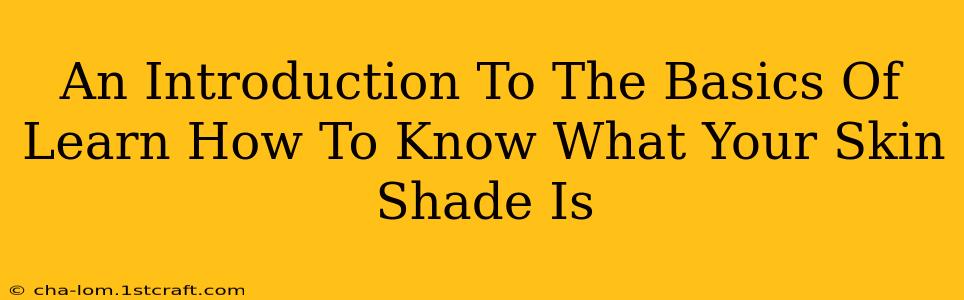 An Introduction To The Basics Of Learn How To Know What Your Skin Shade Is