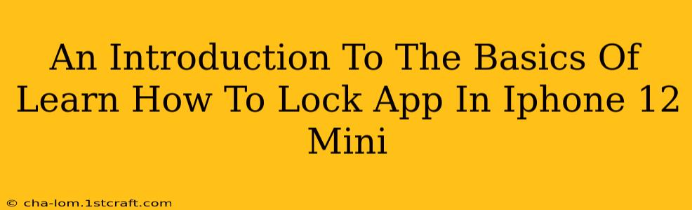 An Introduction To The Basics Of Learn How To Lock App In Iphone 12 Mini