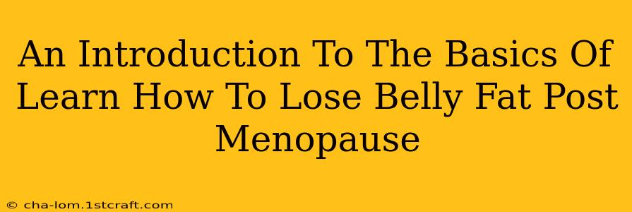 An Introduction To The Basics Of Learn How To Lose Belly Fat Post Menopause