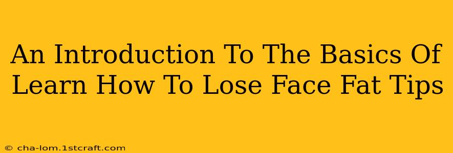 An Introduction To The Basics Of Learn How To Lose Face Fat Tips