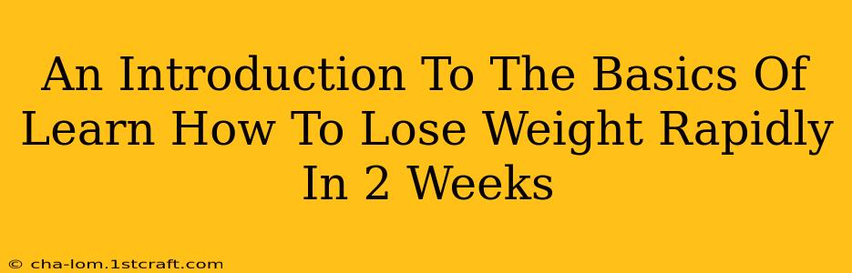 An Introduction To The Basics Of Learn How To Lose Weight Rapidly In 2 Weeks