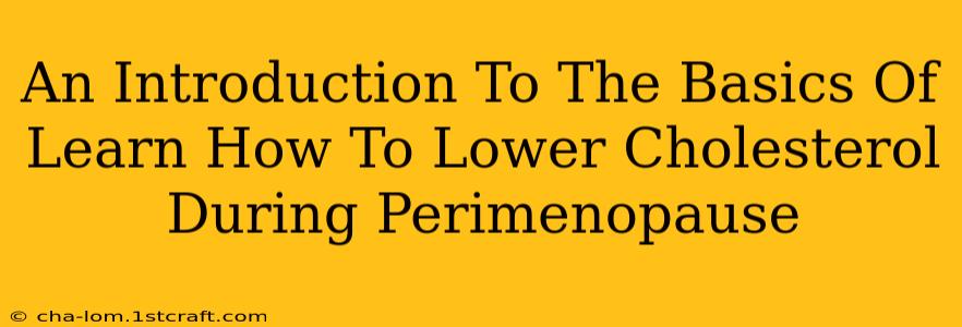 An Introduction To The Basics Of Learn How To Lower Cholesterol During Perimenopause