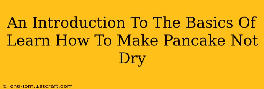 An Introduction To The Basics Of Learn How To Make Pancake Not Dry