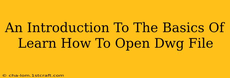 An Introduction To The Basics Of Learn How To Open Dwg File