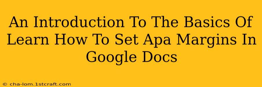 An Introduction To The Basics Of Learn How To Set Apa Margins In Google Docs