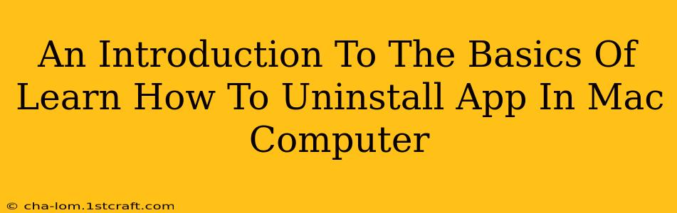 An Introduction To The Basics Of Learn How To Uninstall App In Mac Computer