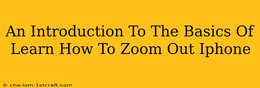 An Introduction To The Basics Of Learn How To Zoom Out Iphone