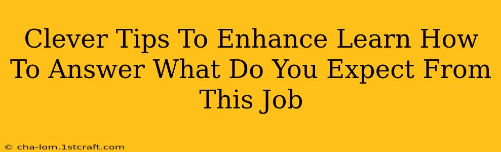 Clever Tips To Enhance Learn How To Answer What Do You Expect From This Job