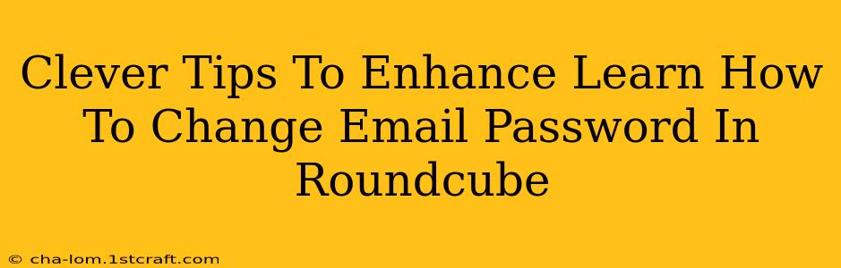 Clever Tips To Enhance Learn How To Change Email Password In Roundcube