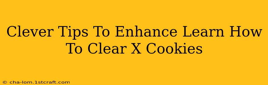 Clever Tips To Enhance Learn How To Clear X Cookies