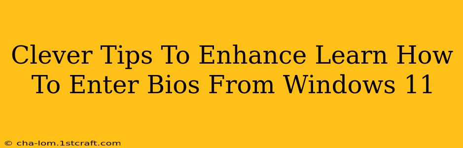 Clever Tips To Enhance Learn How To Enter Bios From Windows 11