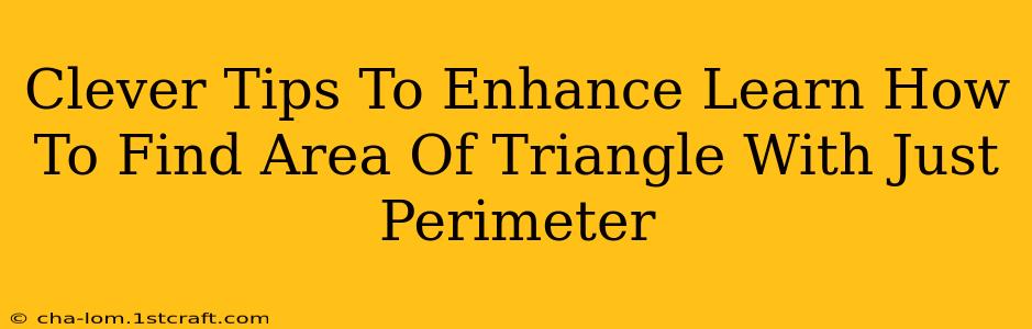 Clever Tips To Enhance Learn How To Find Area Of Triangle With Just Perimeter