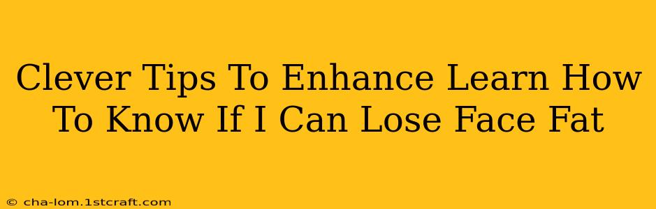 Clever Tips To Enhance Learn How To Know If I Can Lose Face Fat