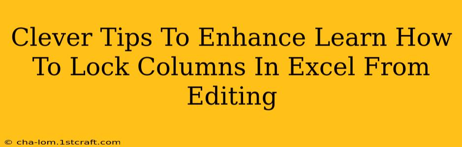 Clever Tips To Enhance Learn How To Lock Columns In Excel From Editing