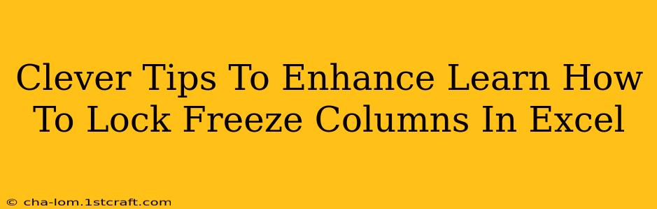 Clever Tips To Enhance Learn How To Lock Freeze Columns In Excel