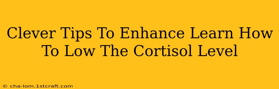 Clever Tips To Enhance Learn How To Low The Cortisol Level