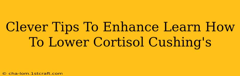 Clever Tips To Enhance Learn How To Lower Cortisol Cushing's