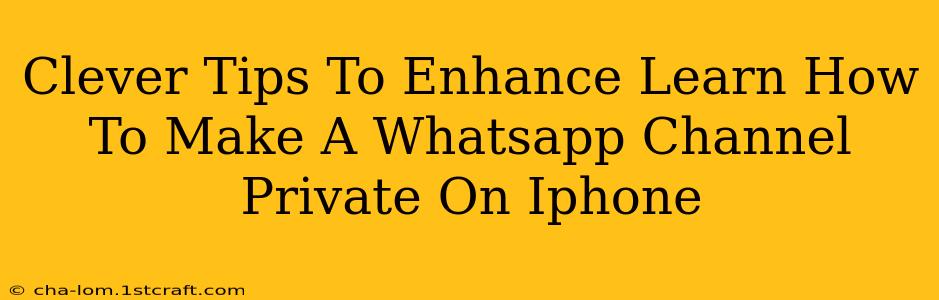 Clever Tips To Enhance Learn How To Make A Whatsapp Channel Private On Iphone