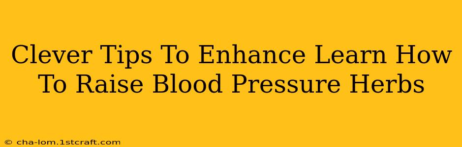 Clever Tips To Enhance Learn How To Raise Blood Pressure Herbs