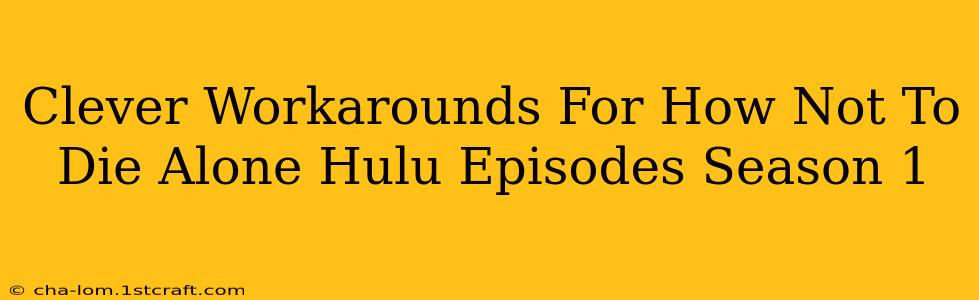 Clever Workarounds For How Not To Die Alone Hulu Episodes Season 1