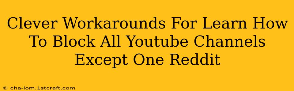 Clever Workarounds For Learn How To Block All Youtube Channels Except One Reddit