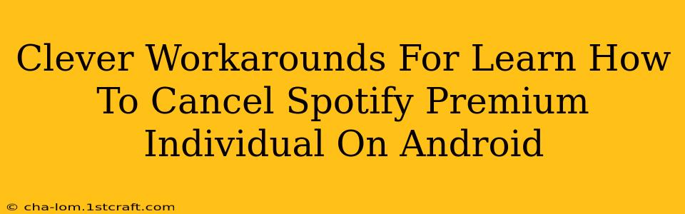 Clever Workarounds For Learn How To Cancel Spotify Premium Individual On Android