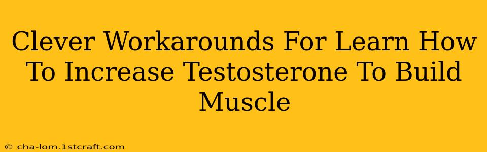 Clever Workarounds For Learn How To Increase Testosterone To Build Muscle