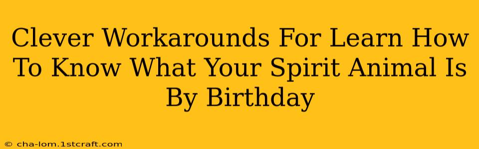 Clever Workarounds For Learn How To Know What Your Spirit Animal Is By Birthday