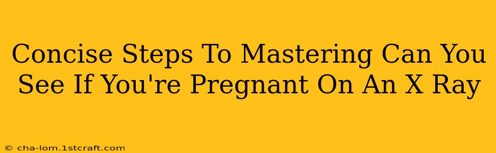 Concise Steps To Mastering Can You See If You're Pregnant On An X Ray