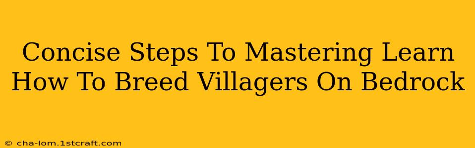 Concise Steps To Mastering Learn How To Breed Villagers On Bedrock