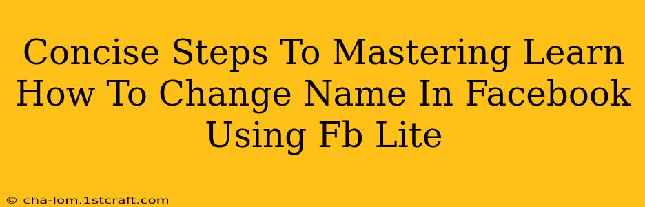 Concise Steps To Mastering Learn How To Change Name In Facebook Using Fb Lite