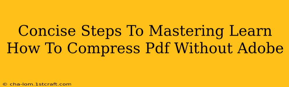 Concise Steps To Mastering Learn How To Compress Pdf Without Adobe