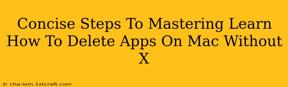 Concise Steps To Mastering Learn How To Delete Apps On Mac Without X