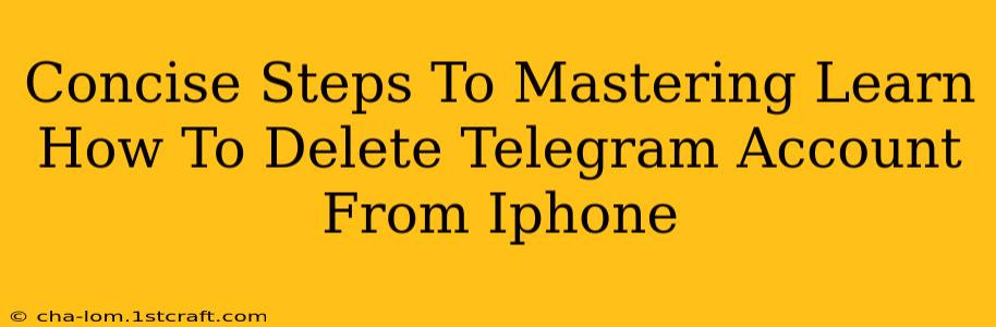 Concise Steps To Mastering Learn How To Delete Telegram Account From Iphone