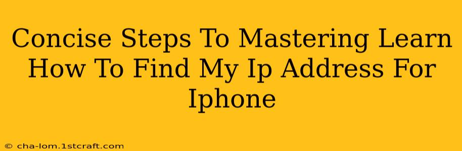 Concise Steps To Mastering Learn How To Find My Ip Address For Iphone