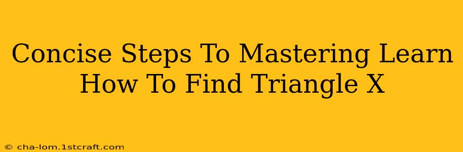 Concise Steps To Mastering Learn How To Find Triangle X