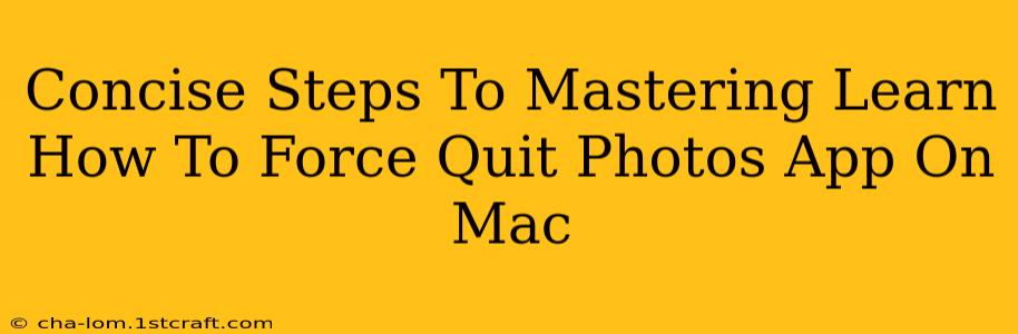 Concise Steps To Mastering Learn How To Force Quit Photos App On Mac