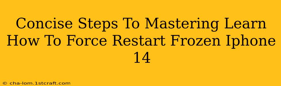 Concise Steps To Mastering Learn How To Force Restart Frozen Iphone 14