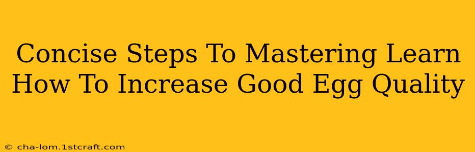 Concise Steps To Mastering Learn How To Increase Good Egg Quality